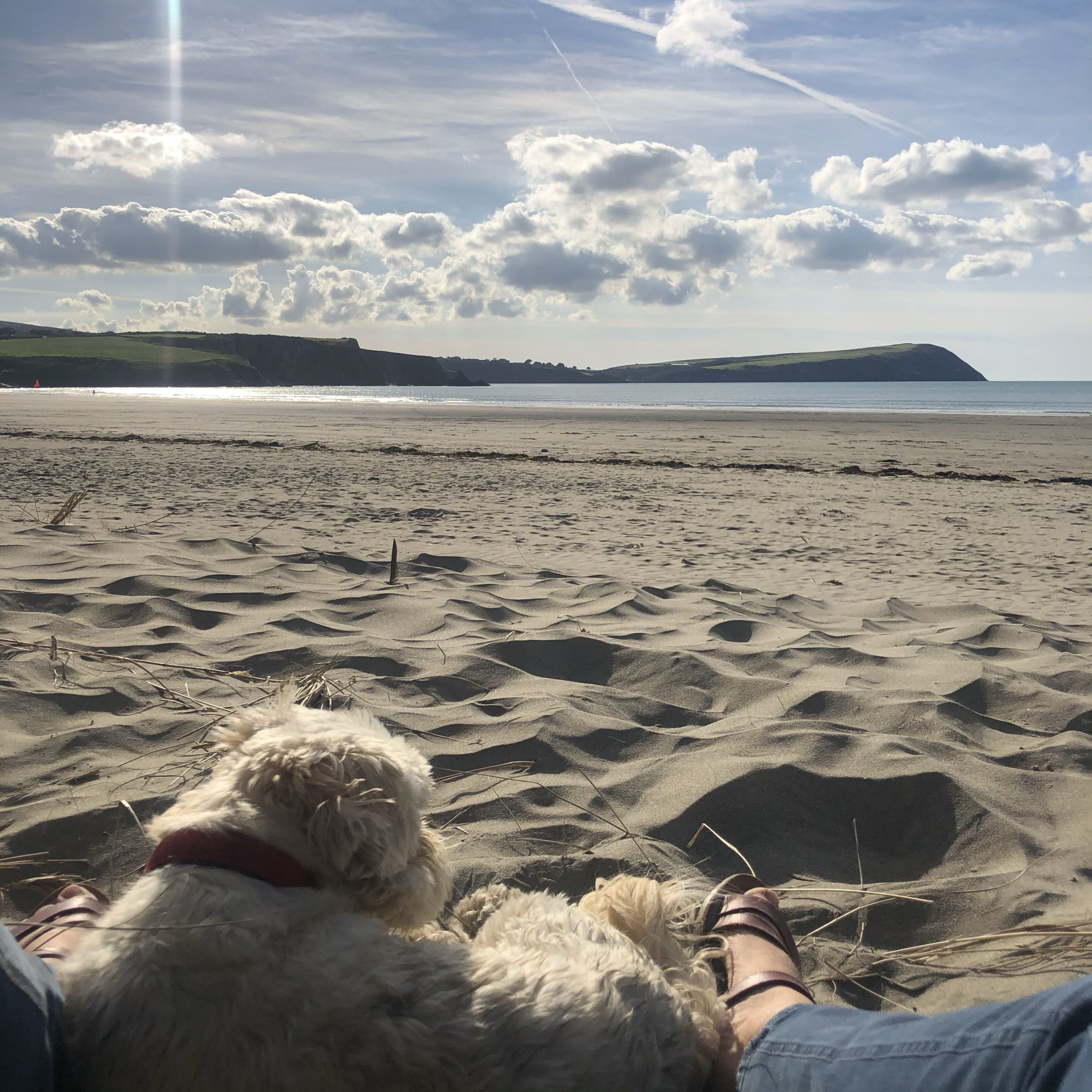 Newport Beach Louise